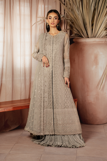 Iznik | Chiffon Kari | ICK-08 Embroidered Chiffon - House Of Anaya