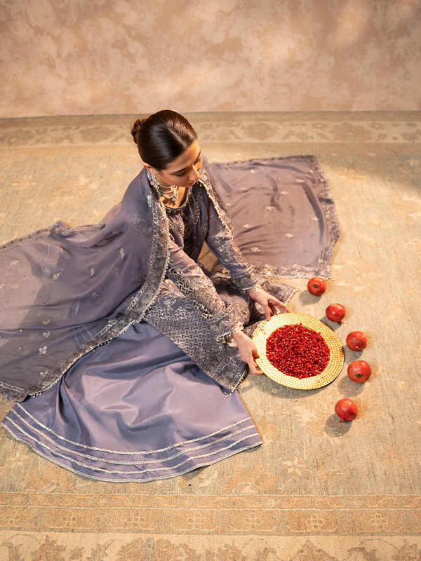 Zebtan | Zeenat Festive Collection | ZN-08 - House of Zarish