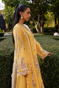 Qalamkar | Q Line Lawn 25 | QM-10 Olena