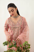 Ramsha | Minhal Organza Collection | M-1007 - House Of Anaya