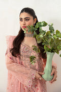 Ramsha | Minhal Organza Collection | M-1007 - House Of Anaya