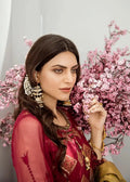 Akbar Aslam | Formal Collection | Argyle - House Of Anaya