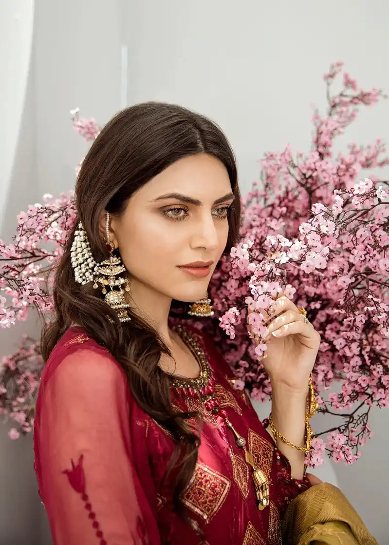 Akbar Aslam | Formal Collection | Argyle - House Of Anaya