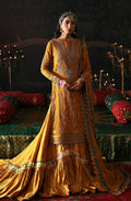 Emaan Adeel | Devdas Formals | ROSHAN JAHAN - House Of Anaya