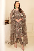 Ramsha | Minhal Organza Collection | M-710 - House Of Anaya