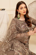 Ramsha | Minhal Organza Collection | M-710 - House Of Anaya
