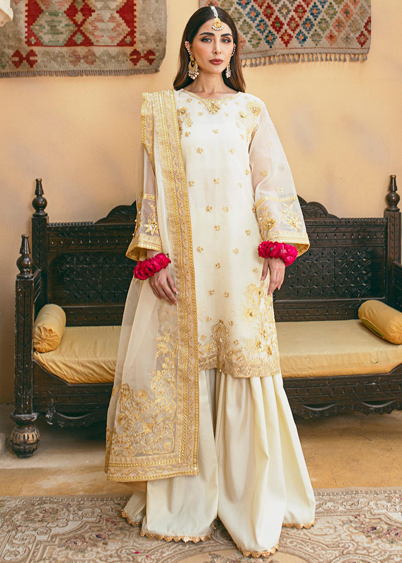 Daud Abbas | Formals Collection | Rasm - House Of Anaya