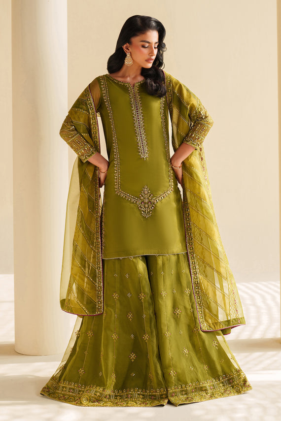 Naqshi | Feemora Organza Raw Silk | Feeha
