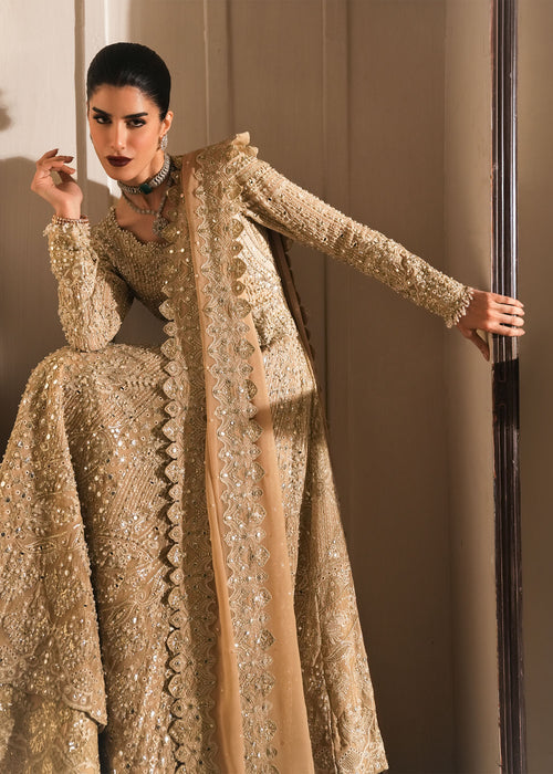 Saira Shakira | Reve Wedding Festive 26 | Moonveil