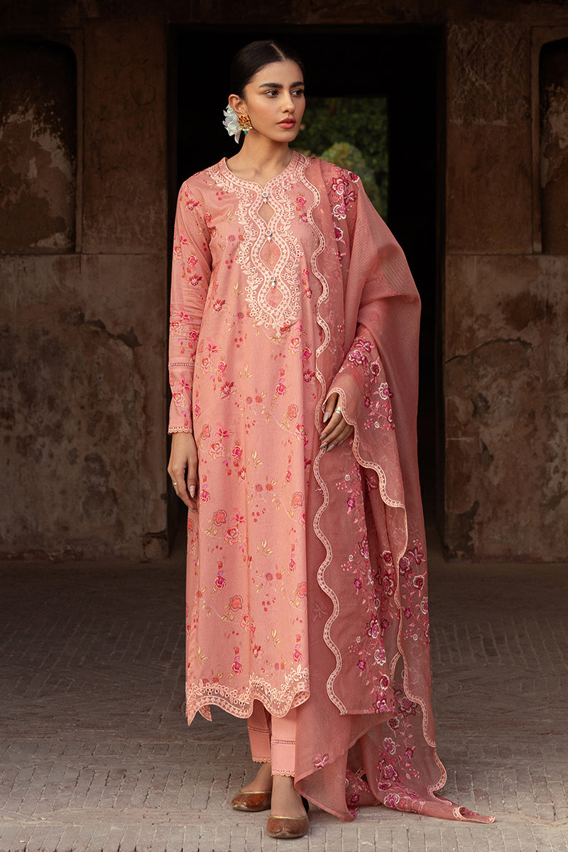 Cross Stitch | Premium Lawn 24 | APRICOT CHARM - House Of Anaya