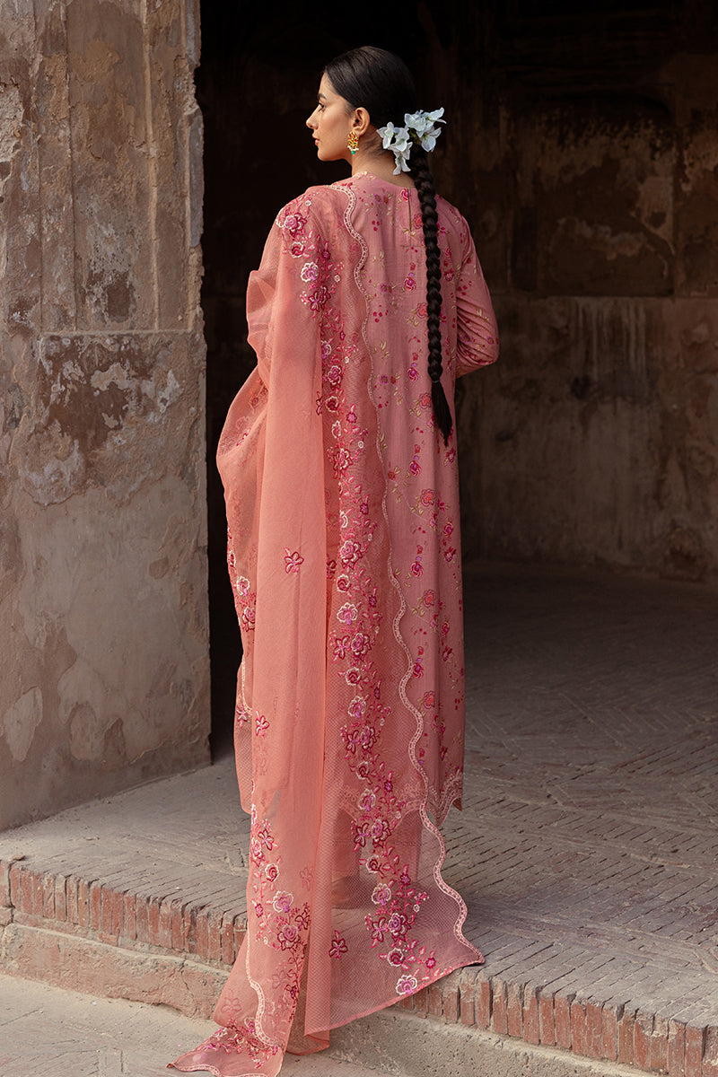 Cross Stitch | Premium Lawn 24 | APRICOT CHARM - House Of Anaya