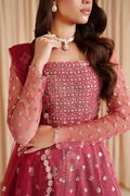 Iznik I Festive Formal I CC-72 Embroidered Net