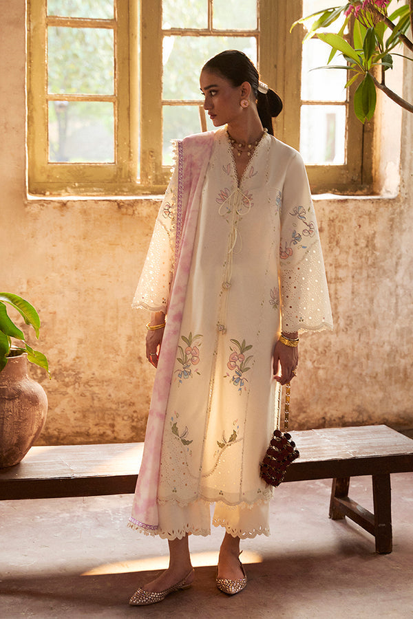 Suffuse | Basic Summer 25 | ZEYRA