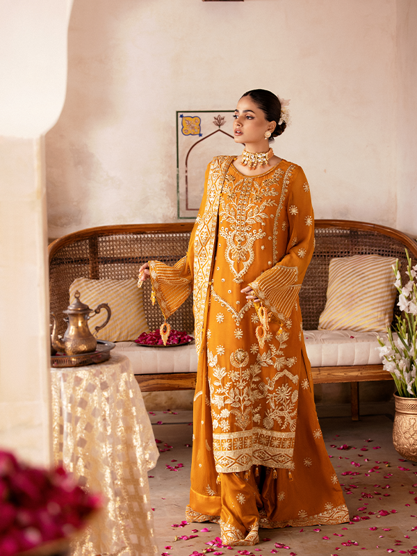 Zebtan | Zeenat Collection Vol 19 | ZN-09 - House of Zarish