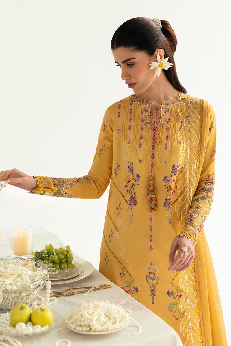 Qalamkar | Q Prints 2025 | PQ-03 MEHR - House Of Anaya