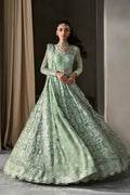 Akbar Aslam | Meeras Luxury Chiffon 25 | Hayal
