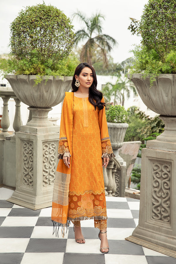 House of Nawab | Lawn Collection 24 | ZAVOSH - House Of Anaya