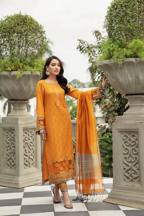 House of Nawab | Lawn Collection 24 | ZAVOSH - House Of Anaya