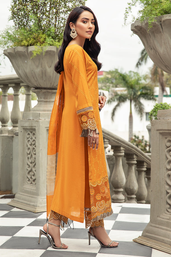 House of Nawab | Lawn Collection 24 | ZAVOSH - House Of Anaya