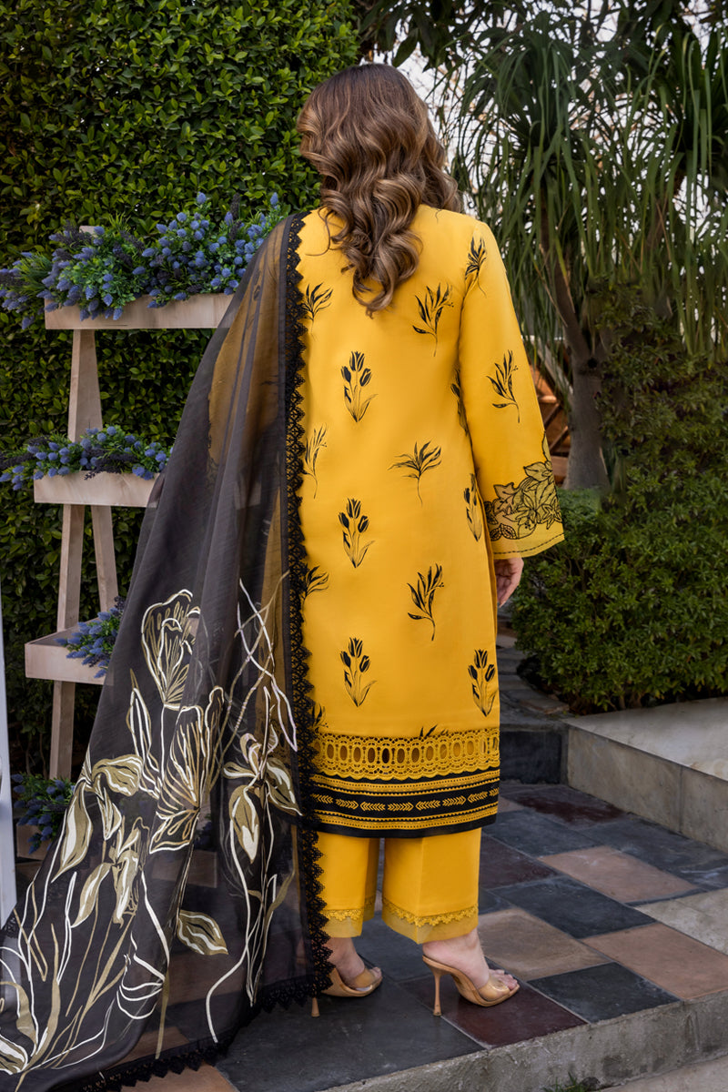Rangrasiya | Florence Summer Edit 25 | Mirha - House Of Zarish