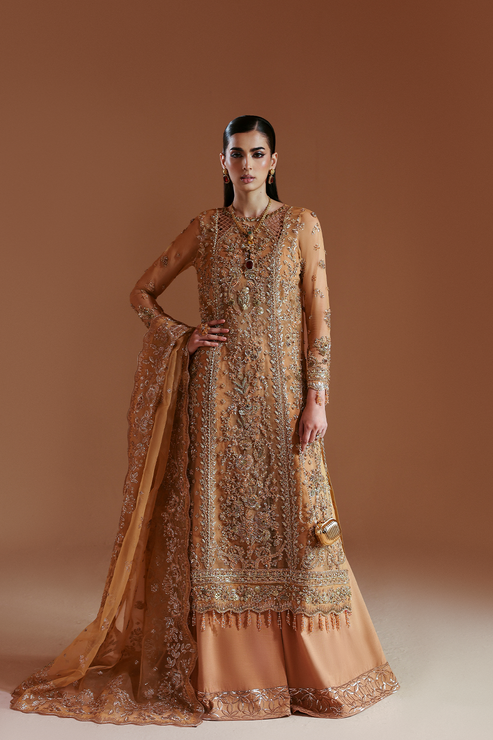 Emaan Adeel | Celestique Formals 25 | EMBER
