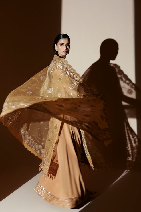 Emaan Adeel | Celestique Formals 25 | EMBER