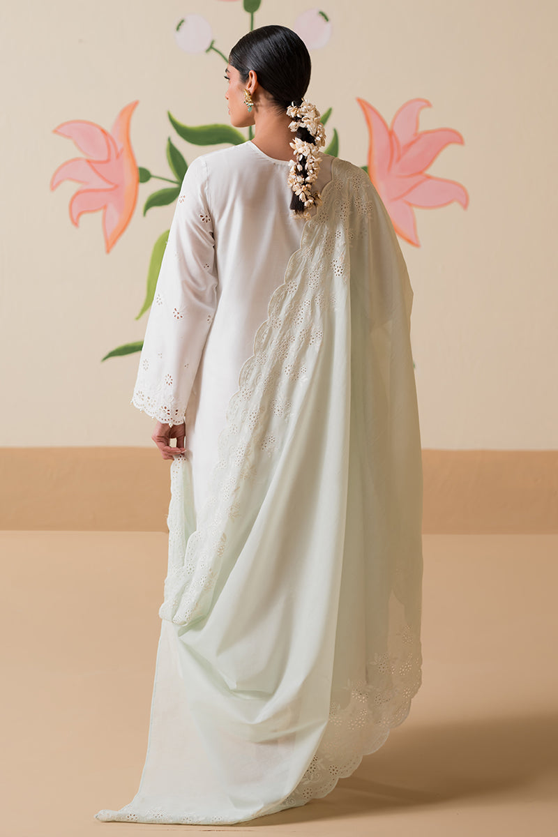 Cross Stitch | Chikankari Lawn Collection | P-06 - House Of Anaya