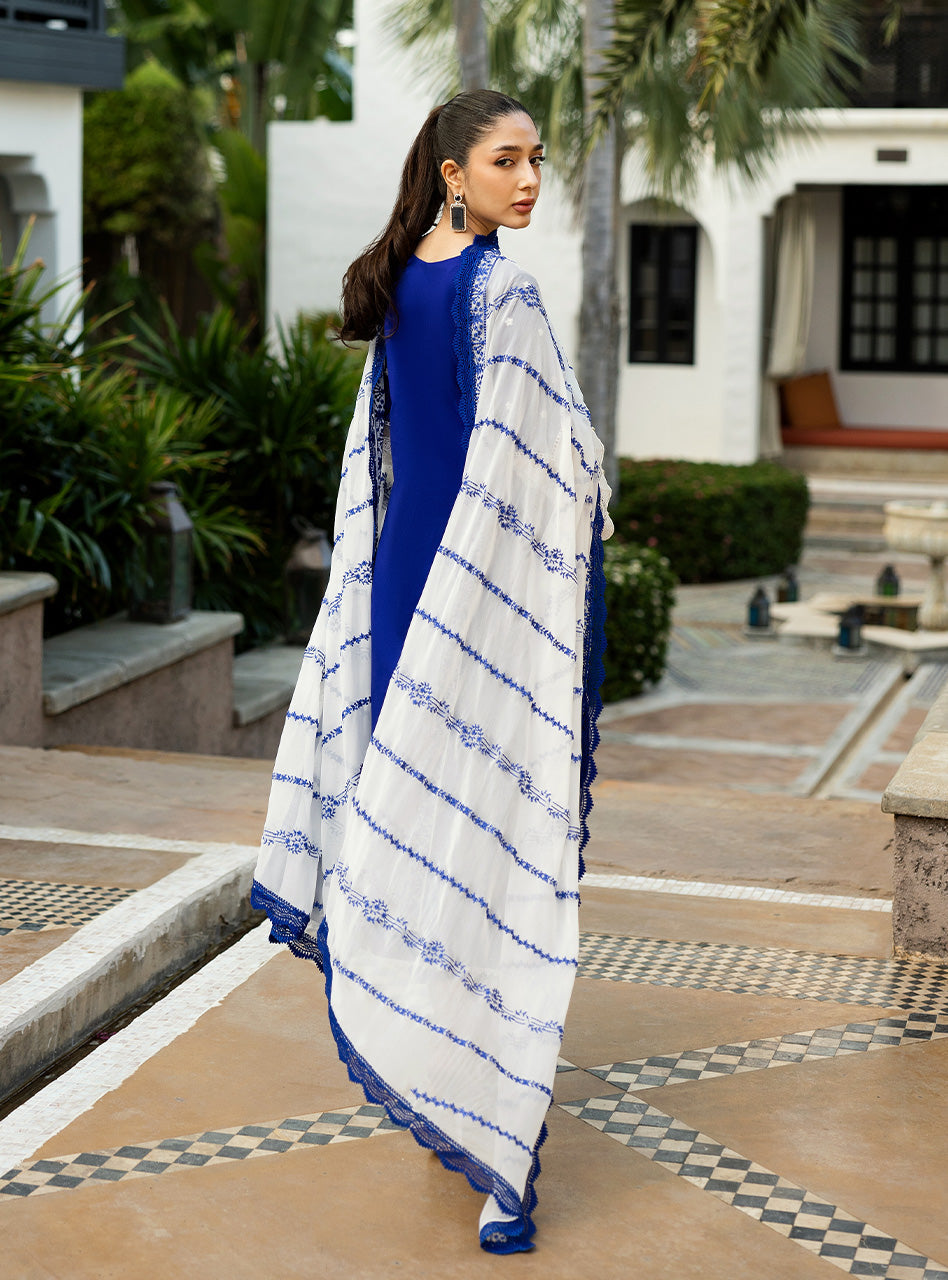 Zainab Chottani | Chikankari 25 | Sia - 11B - House Of Zarish
