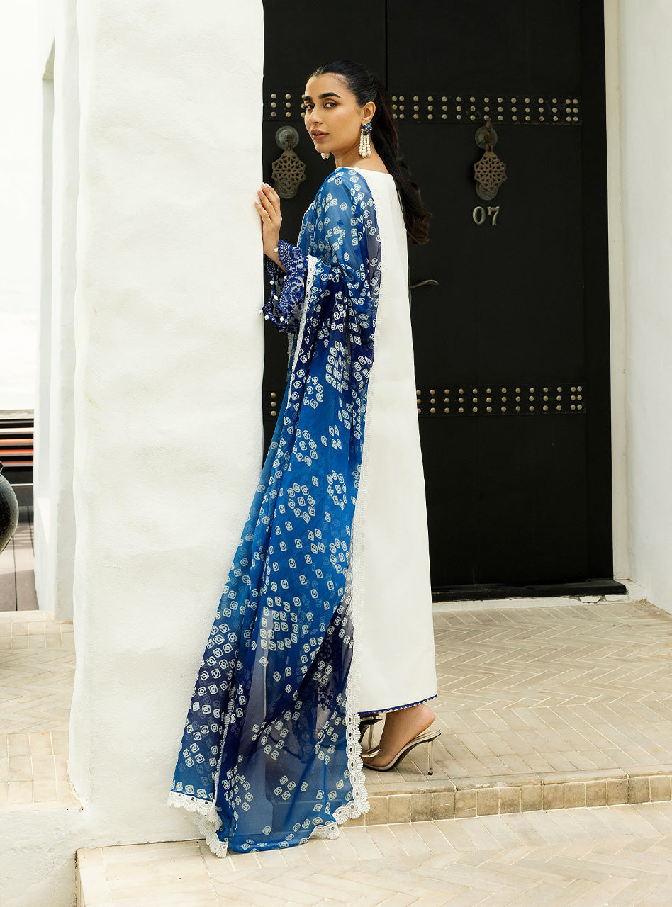 Zainab Chottani | Chikankari 25 | Reem - 8A - House Of Zarish