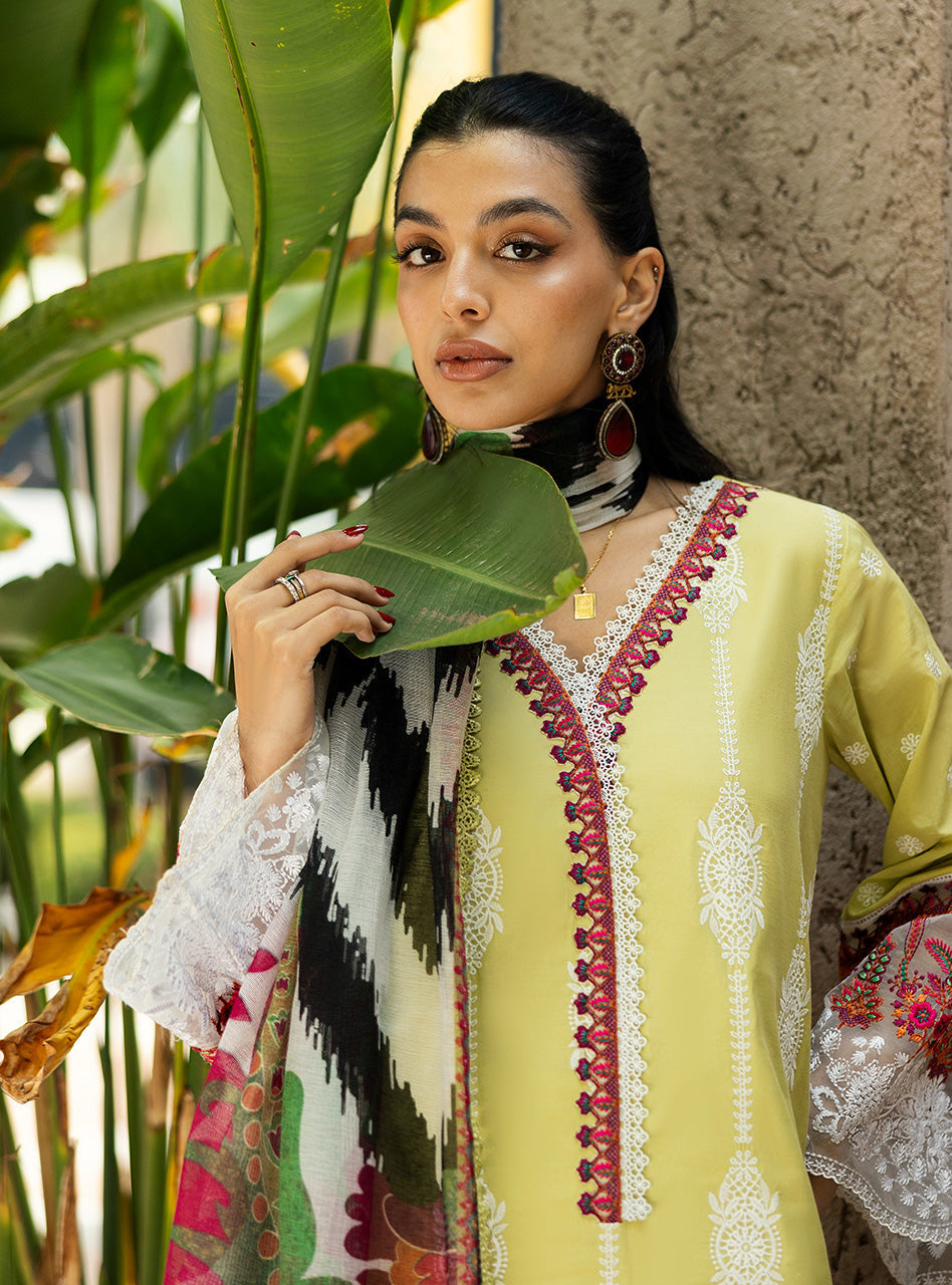 Zainab Chottani | Chikankari 25 | Rayne - 12A - House Of Zarish