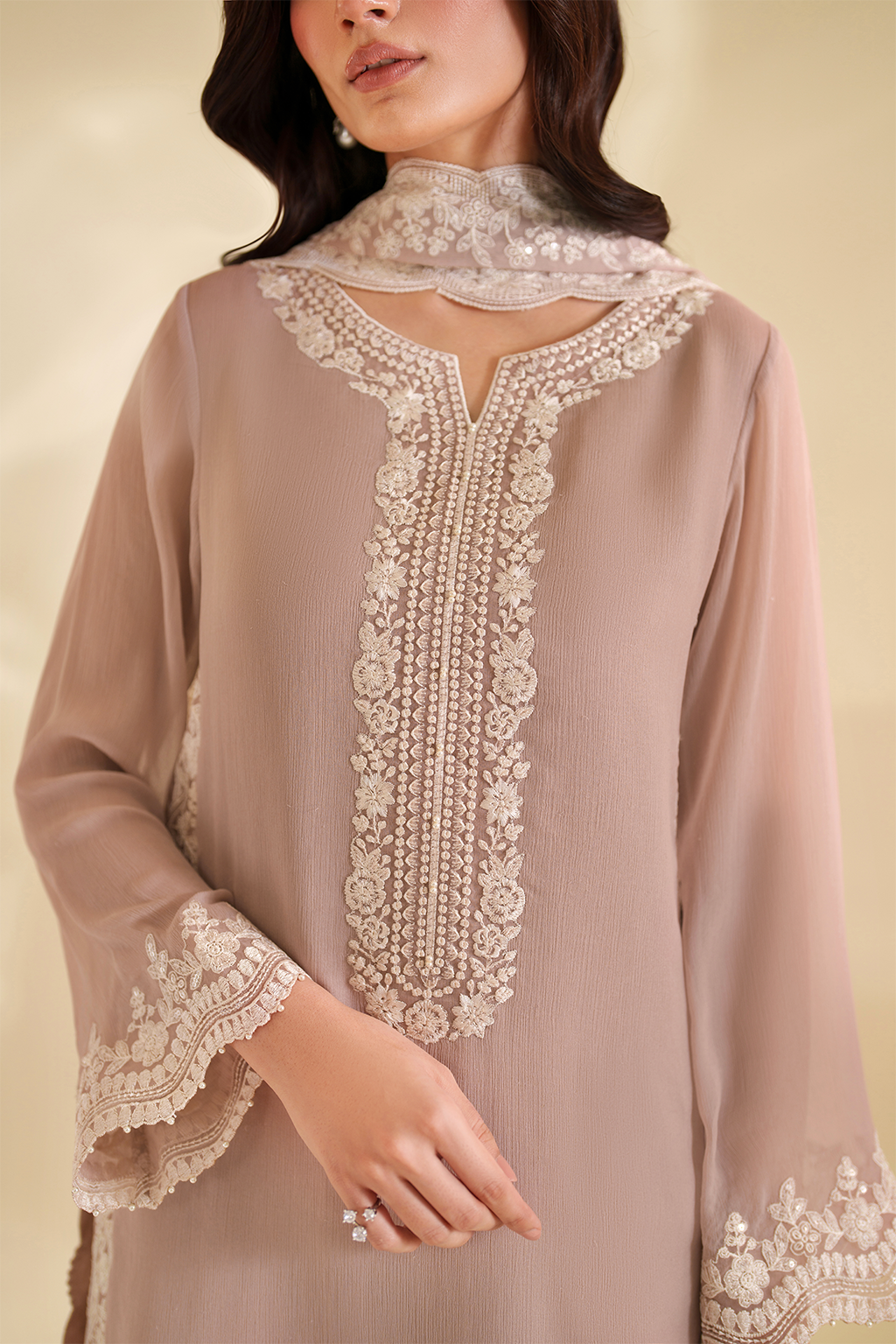 Iznik I Festive Formal I CC-79 Embroidered Chiffon