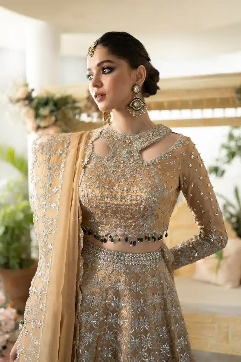 Qalamkar | Dilnaz Wedding Formals | DN-01 IMAAN - House Of Anaya
