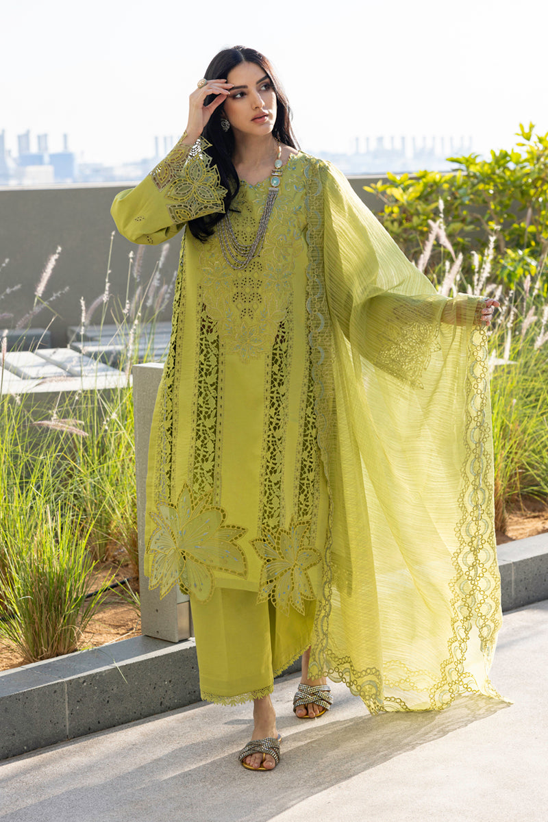 Rangrasiya | Carnation Summer Edit 25 | Aaleen - House Of Zarish