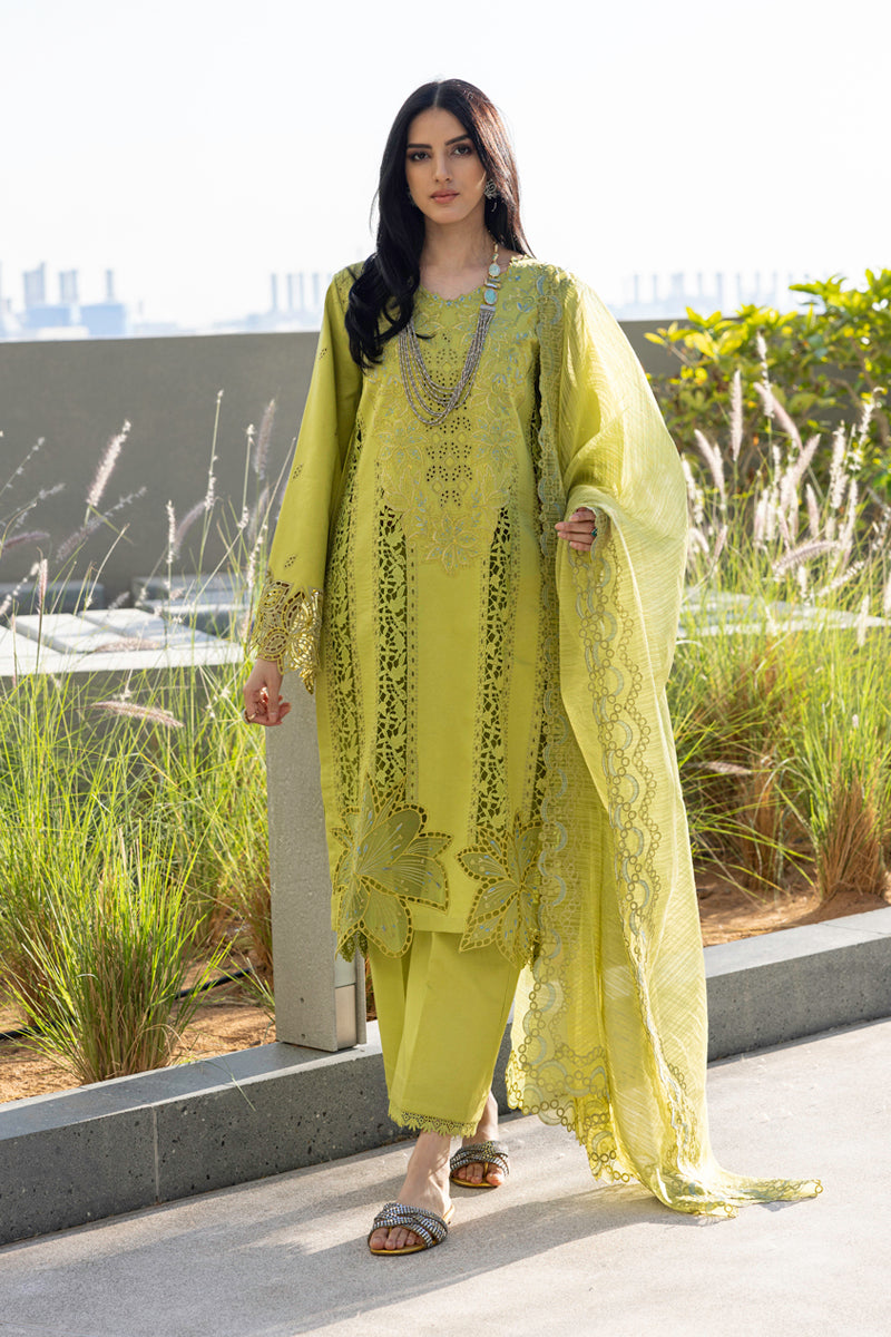 Rangrasiya | Carnation Summer Edit 25 | Aaleen - House Of Zarish