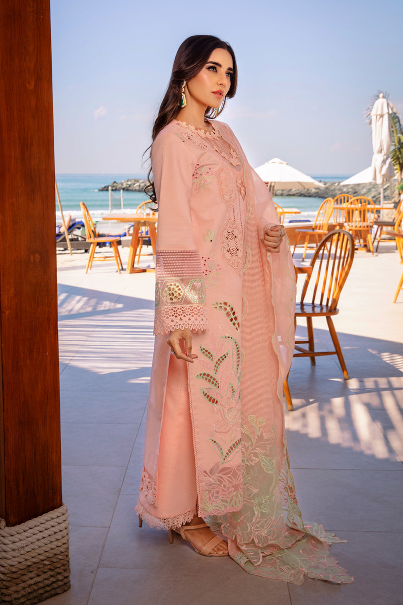 Rangrasiya | Premium Summer Lawn 25 | Bareeha