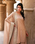 Faiza Saqlain | FS Luxe Laira | Zaain - House Of Anaya