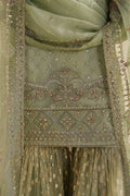 Naqshi | Feemora Organza Raw Silk | Hanam