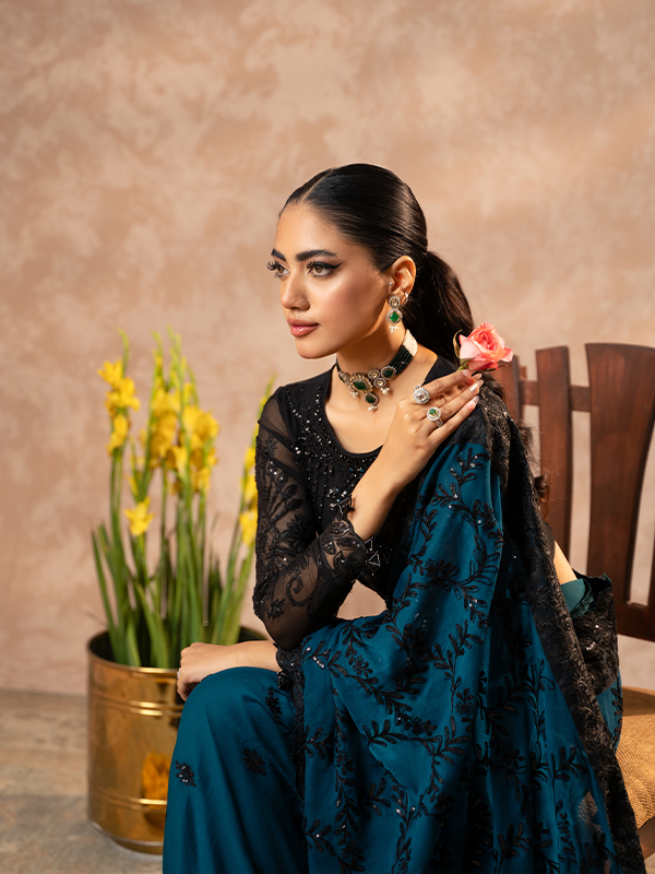 Zebtan | Zeenat Festive Collection | ZN-10 - House of Zarish
