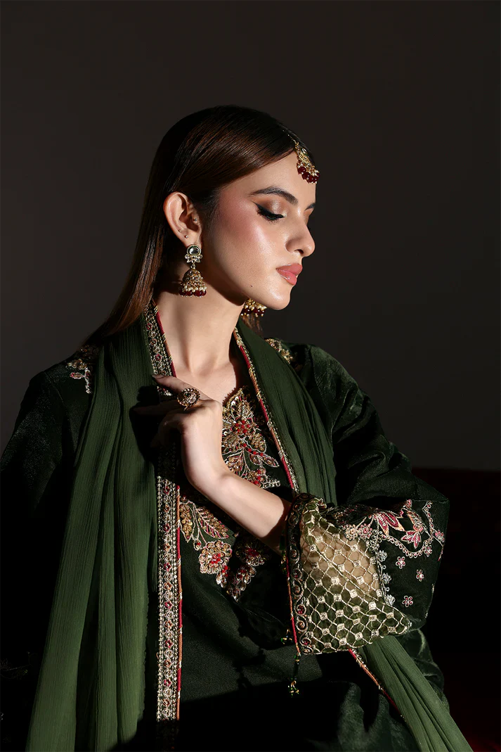Emaan Adeel | Zarposh Velvet Collection | AARISH