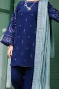 Naqshi | Nuri Khaddar Velvet Marina | Nourhan