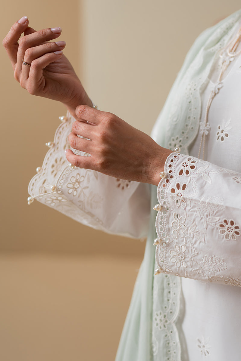 Cross Stitch | Chikankari Lawn Collection | P-06 - House Of Anaya