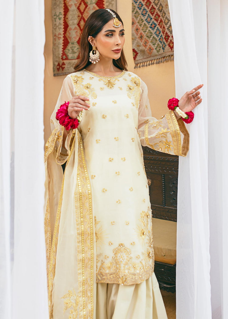 Daud Abbas | Formals Collection | Rasm - House Of Anaya