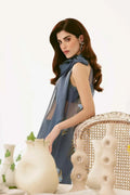Mina Kashif | Ala Mode Luxury Formals 23 | Amaya - House Of Anaya