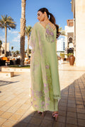 Rangrasiya | Premium Summer Lawn 25 | Ayleen