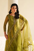 Naqshi | Feemora Organza Raw Silk | Feeha