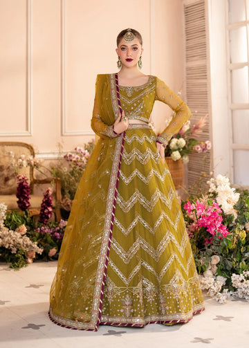 Sifa | Zebaish Collection | Shadab