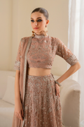 Iznik | Chinnon Chiffon | CC-43 Embroidered Net - House Of Anaya