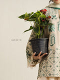Zara Shahjahan | Coco Lawn 26 | Soren-9B