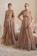 Iznik | Chinnon Chiffon | CC-43 Embroidered Net - House Of Anaya