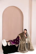 Alizeh | Makhmal Luxury Velvet Edit | Zarlish